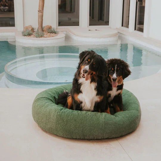 Bouclé Dog Bed & Weighted Blanket Bundle - Image 6