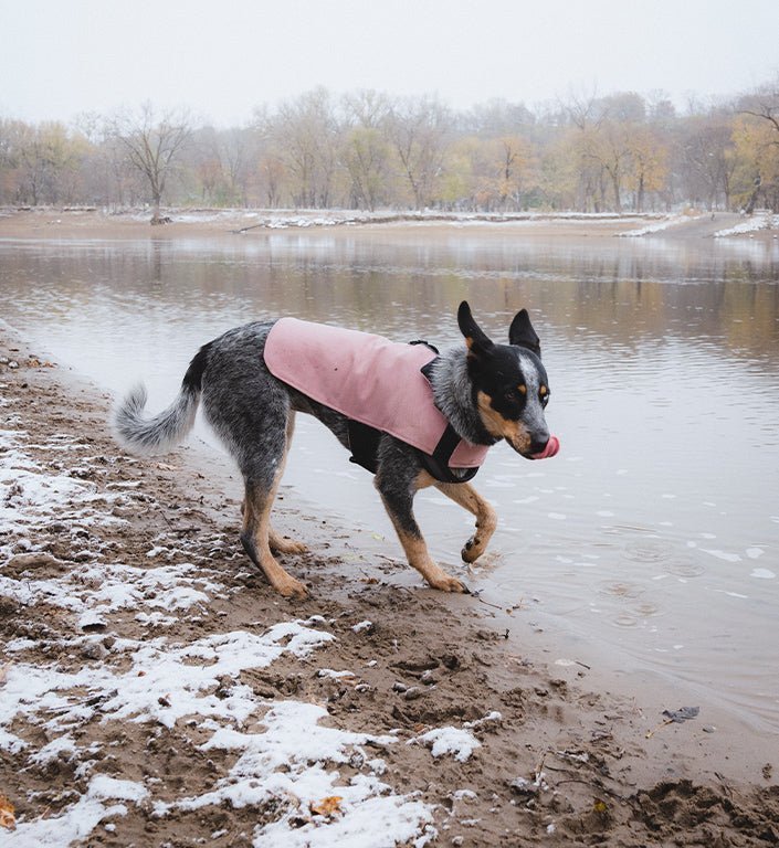 Pink | Coat - Image 10