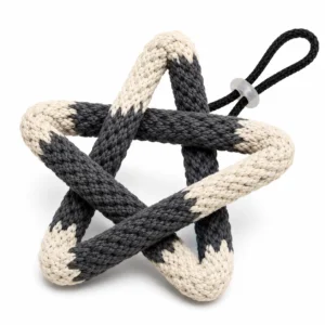 Braided Rope Dog Toy with Loop Handle
